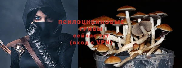 прущие крисы Аркадак