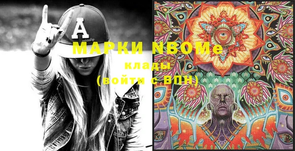 ПСИЛОЦИБИНОВЫЕ ГРИБЫ Арсеньев