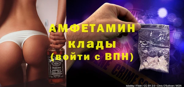 ПСИЛОЦИБИНОВЫЕ ГРИБЫ Арсеньев