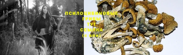 прущие крисы Аркадак