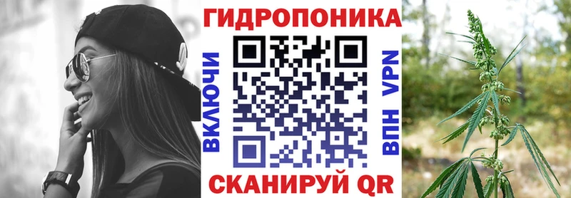Канабис марихуана  наркота  Правдинск 